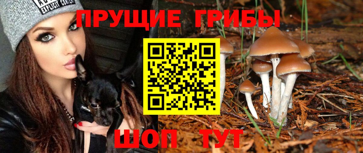 Конопля  Пугачёв  Меф кристаллы  ГАШ  Вход с VPN 
