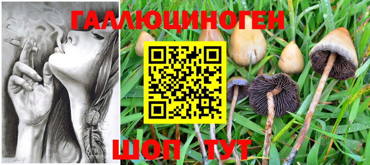 Галлюциногенные грибы мицелий  Галлюциногенные грибы Psilocybe  Пугачёв  Вход с VPN 